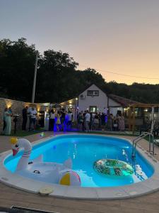 a swimming pool with a toy duck and a swan at Vikend house Cvrcak in Slankamenački Vinogradi