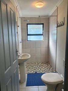 a bathroom with a sink and a toilet and a window at Gamtoosberg Cottage in Oudtshoorn