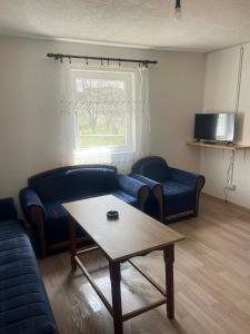 a living room with a couch and a coffee table at Petrovica in Aluga