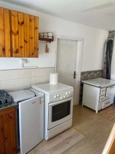 a kitchen with a white stove and a sink at Petrovica in Aluga
