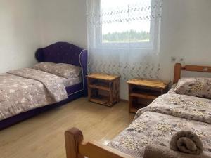 a bedroom with two beds and a window at Petrovica in Aluga