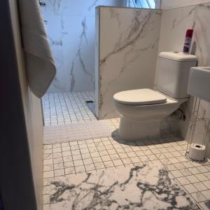a white bathroom with a toilet and a shower at Terrys place in Malmesbury +15 photos