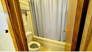 a bathroom with a toilet and a shower curtain at North Winds Lodge LLC in Bowman +9 photos