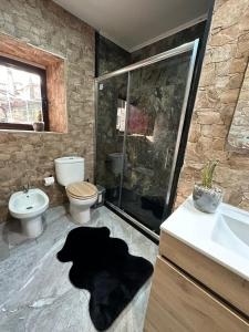 a bathroom with a shower and a toilet and a sink at Lobios House in Bubaces