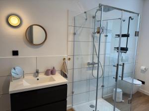 a bathroom with a glass shower and a sink at Zum Alten Pasewalker Kaufmann Beletage in Pasewalk +1 photo