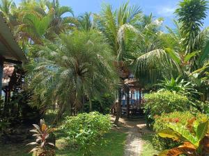 a group of palm trees in a garden at Vicina Maris Beach Lodge in María Chiquita