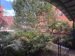 a view of a garden with trees and buildings at Casa Palma Poblado in Medellín