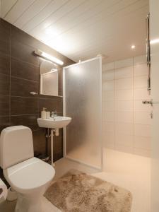 a bathroom with a toilet and a shower and a sink at Eistvere Puhkemaja in Eistvere +22 photos