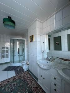a bathroom with a sink and a shower and a toilet at Charmante maison en pleine campagne in Rollancourt