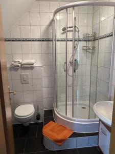 a bathroom with a shower and a toilet and a sink at Gasthaus Schwielochsee in Friedland +24 photos