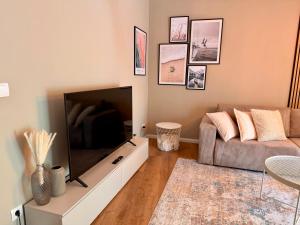 a living room with a couch and a large flat screen tv at Glacis Apartments I - Sonnenterasse & kostenlose Parkplätze in Minden