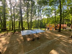 a ping pong table in the middle of a yard at Casa tapada da cheda 1 in Fafe