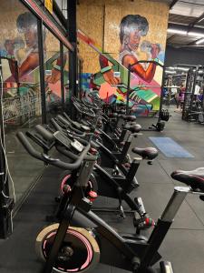 a bunch of bikes lined up in a gym at The Spring Collection in Tatu City