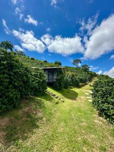 a house on the side of a hill withgrass at Hospedagem Terras Raras Patrimônio da Penha in Divino de São Lourenço +18 photos