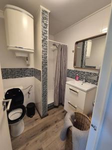 a bathroom with a toilet and a sink and a mirror at Appartement confortable Dog friendly in Membre +19 photos