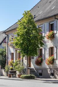 een boom voor een gebouw met bloembakken bij Hotel Löwen Garni in Oberrimsingen