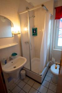 a bathroom with a shower and a sink and a toilet at Pension An der Bleiche in Wustrau