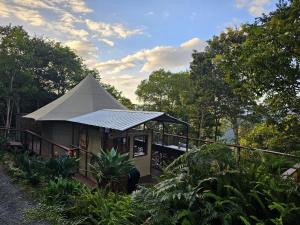 a small building with a pyramid roof in a garden at Clouds Serenity in Beechmont