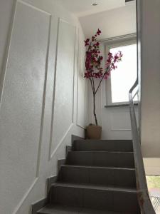 a staircase with a potted plant and a window at Wohngemeinschaft mit Privatzimmern in Niederdorla