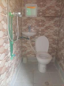 a bathroom with a toilet and a sink at Auberge High Atlas B&B in Alemrhou
