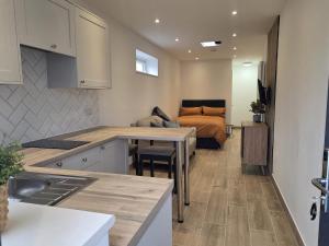 a kitchen and living room with a bed in the background at Holyport Studio flat in Bray