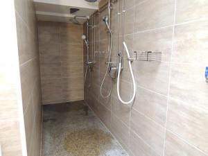 a bathroom with a shower with a hose on the wall at Siggis und Anyas Ferienwohnung mit Sauna und XXXL-Dusche in Sasbachwalden