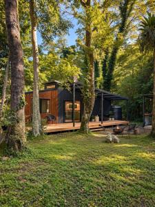 a modern cabin in the woods with trees at Wave and Willow Tiny Home in Broughton Village