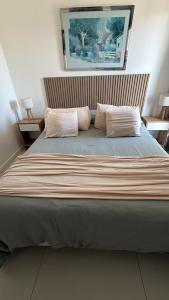 a large bed with two pillows in a bedroom at Segundo hogar in Luján