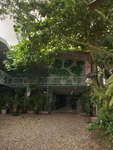 a house with potted plants in front of it at Red Frog Rooms in Fortuna