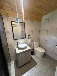 a bathroom with a sink and a toilet and a mirror at Villa Alpina in Oxapampa +13 photos