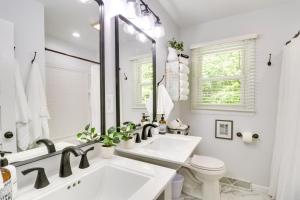a bathroom with a sink and a toilet and a mirror at Papas Cottage Hot Tub Near Nelson 151 in Afton +30 photos
