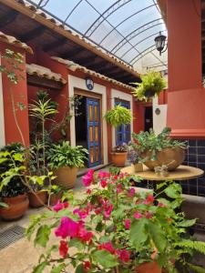a patio with potted plants and flowers in front of a building at Casa de los Arcángeles in San Cristóbal de Las Casas