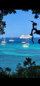 a group of boats floating in the water at Hibiscus House in Bequia