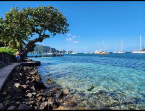 a person standing next to a body of water with boats at Hibiscus House in Bequia