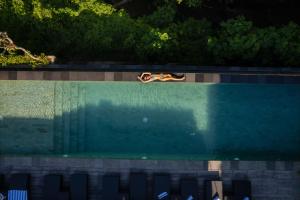 a dog laying in a pool of water at The Garden Villas in Ubud