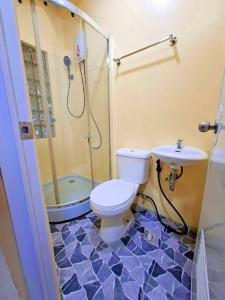 a bathroom with a shower and a toilet and a sink at Jenalfe Guest House in Camiguin +132 photos
