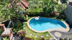 a small swimming pool in a garden with plants at Villa WENHOMANN View in Lovina
