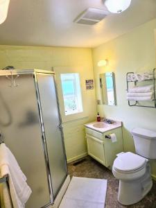 a bathroom with a shower and a toilet and a sink at Ocean view-Huge backyard-Quiet neighborhood in Bodega Bay +24 photos