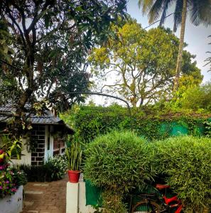 a garden with a house and a swimming pool at Celestial Homestay in Wayanad