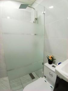 a bathroom with a shower and a toilet and a sink at Hotel Plaza Kavia in Santo Domingo +45 photos