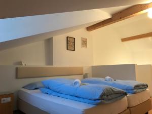 2 niebieskie poduszki na łóżku w pokoju w obiekcie Argentieri Guesthouse w mieście Bolzano