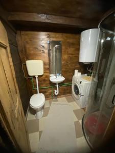 a small bathroom with a toilet and a sink at Milov konak in Berane