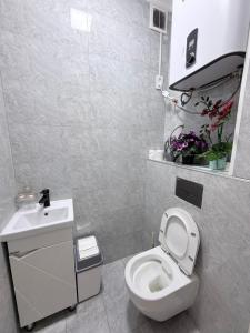 a small bathroom with a toilet and a sink at Frunze Residence in Osh