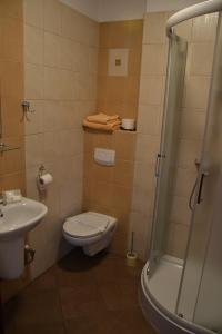 a bathroom with a toilet, sink, and shower at Hotel Gryf in Kościerzyna