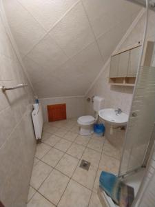 a small bathroom with a toilet and a sink at Mohos Vendégfogadó in Kelemér