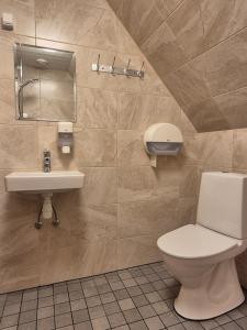 a bathroom with a toilet and a sink at Risti kodumajutus in Lemsi +56 photos