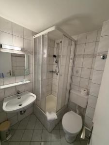a bathroom with a shower and a toilet and a sink at Wald Hotel in Kirschweiler +21 photos