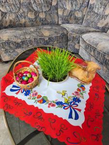 a table with a table cloth and a bowl of plants at Cabana Dany Colibița in Colibiţa