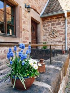 a pot of flowers sitting in front of a building at Maison d'hôtes La Paulusmühle Ancien moulin en pleine nature in Soucht