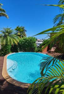 a large blue swimming pool next to some trees at Le vol du Papangue in Saint-Pierre